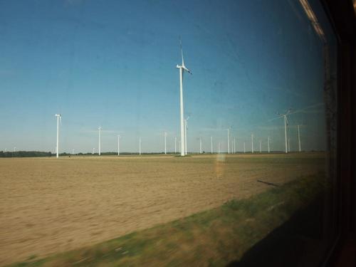 P9072826_convert_20140207233845.jpg